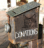 metal box on post with word donations and cat face