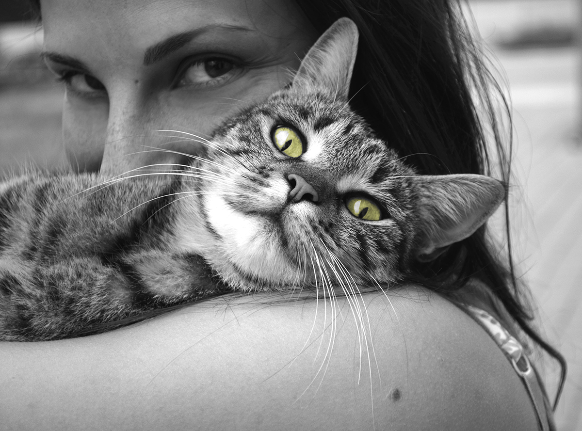 black and white image of a female holding a content cat